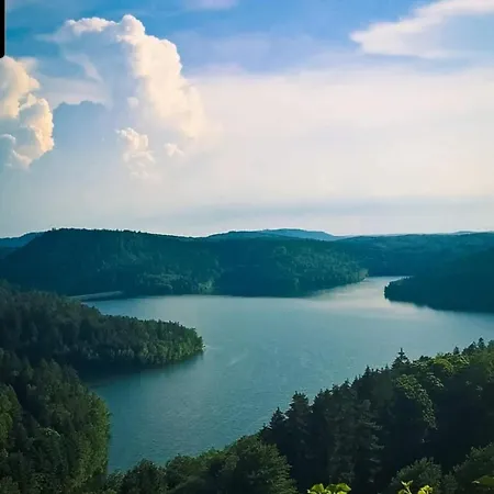 Les 2 Gros Coconing Avec Proche Du *
