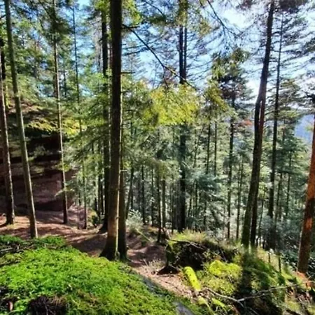 Apartment Les 2 Gros Coconing Avec Proche Du