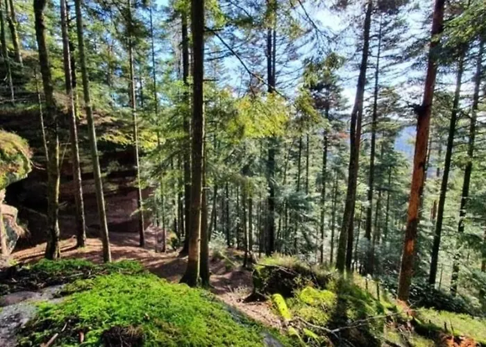 Appartement Les 2 Gros Coconing Avec Proche Du